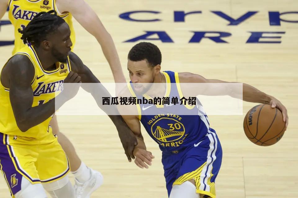 西瓜视频nba的简单介绍