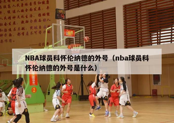 NBA球员科怀伦纳德的外号（nba球员科怀伦纳德的外号是什么）